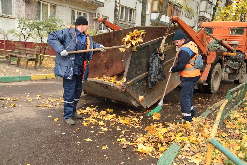 Вывоз опавшей листвы и растительного мусора в Владивостоке от ПроМусор – цена от 4575 руб., быстрая уборка и утилизация